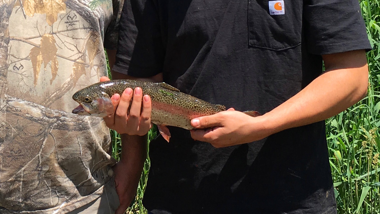 Annual Youth Trout Derby